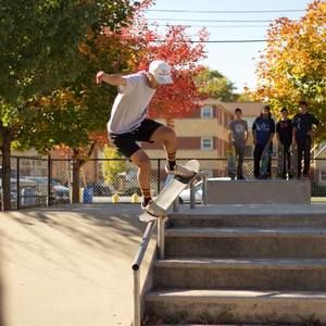 Meet your Posher, Nelson dove